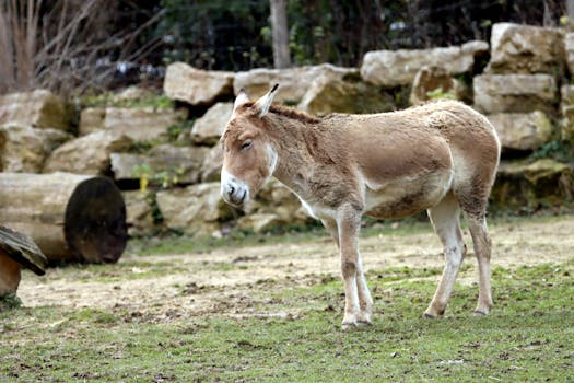 Strongest Memento version? : r/Yugioh101