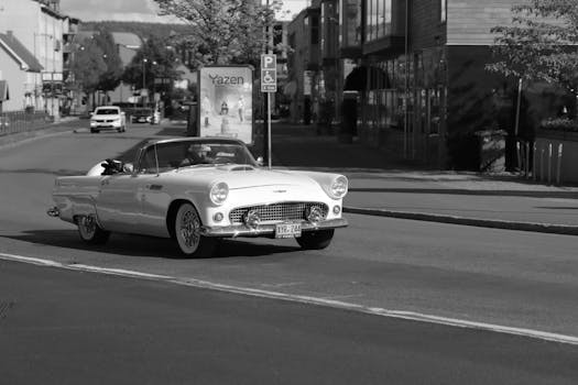 Competitive Corner: Top 8 Impcantation Nekroz