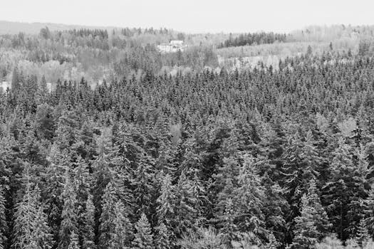 Yu-Gi-Oh! Wiki en Español | Fandom