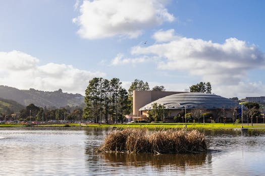 Rafael Reich | ReichYGO (@RafaelReich1) / Posts / X