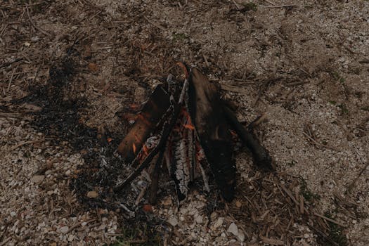 Card Tips:Ash Blossom & Joyous Spring - Yu-Gi-Oh! Wiki