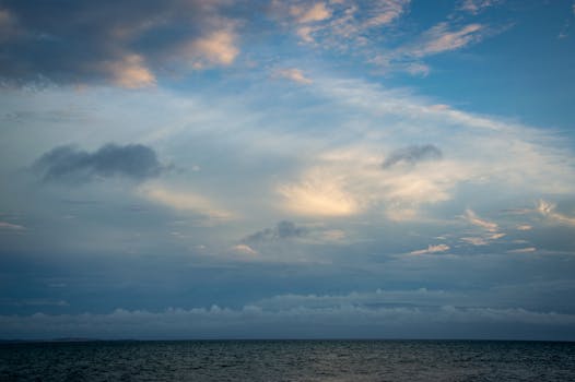 The Winged Dragon of Ra