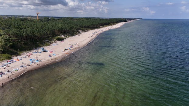 True King of All Calamities Effect, Rarity, and Related Packs