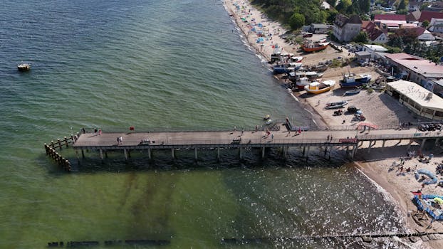 True King of All Calamities | Card Details