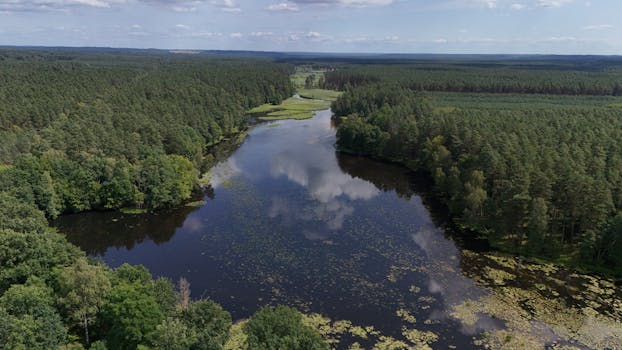 Yu-Gi-Oh! Wiki - True King of All Calamities