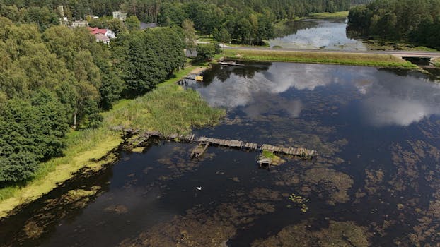 Card Tips:True King of All Calamities - Yu-Gi-Oh! Wiki - Fandom