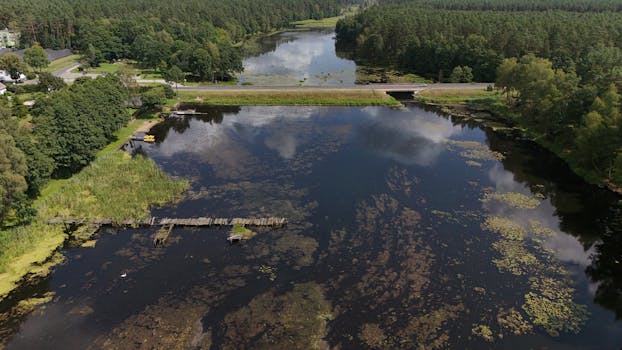 Card Trivia:True King of All Calamities