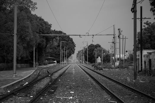 Nordic Beast Gullinbursti Effect, Rarity, and Packs