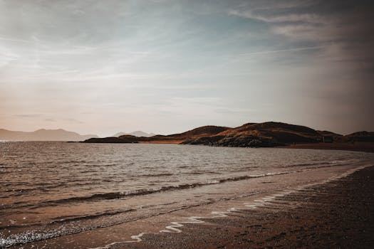 Sean Schemmel | Dubbing Wikia - Fandom