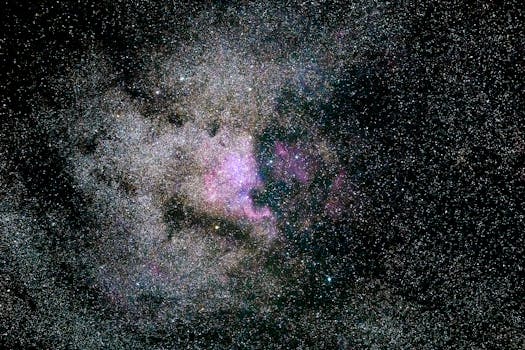 Pot of Greed (anime) - Yu-Gi-Oh! Wiki - Fandom