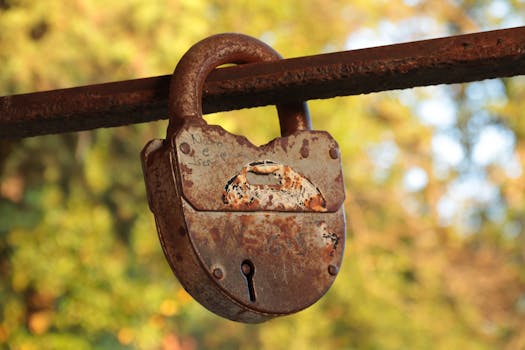 Droll & Lock Bird | Yu-Gi-Oh! Wiki | Fandom