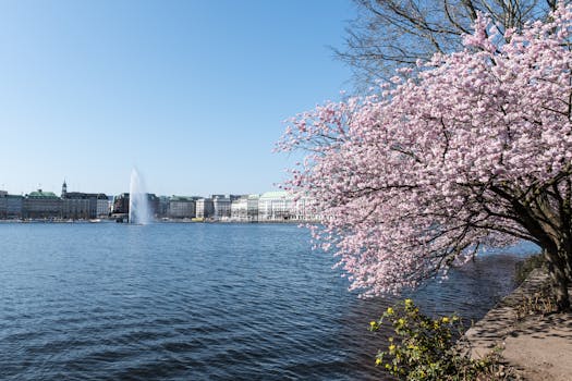 Super Polymerization