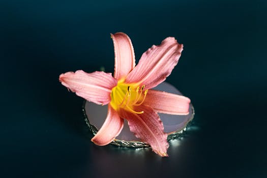 Baronne de Fleur | Card Details | Yu-Gi-Oh! Neuron ...