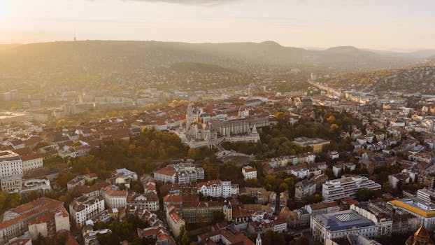 Card Appearances:Salamangreat Pyro Phoenix - Yu-Gi-Oh! Wiki