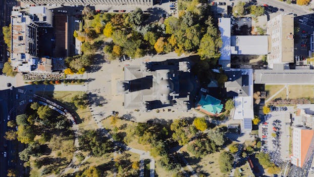 Yu-Gi-Oh! Wiki - Salamangreat Pyro Phoenix