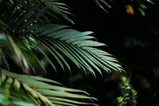 Trident Dragion | Yu-Gi-Oh! Wiki | Fandom