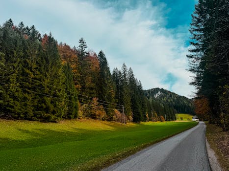 Card Trivia:Salamangreat Pyro Phoenix | Yu-Gi-Oh! Wiki