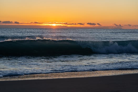 Trident Dragion (character) | Yu-Gi-Oh! Wiki | Fandom