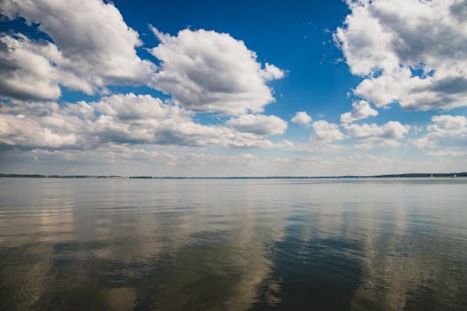 People are using Trident Dragion as the poster child for ...