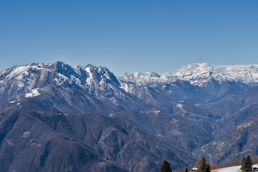 Monster Reborn | Card Details | Yu-Gi-Oh! Neuron ...