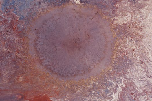 Card Appearances:Metamorphosis | Yu-Gi-Oh! Wiki | Fandom