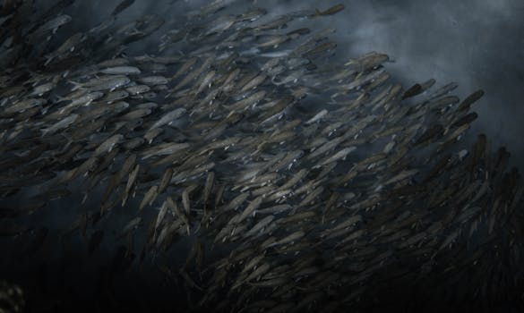 Those Marvelous Tin Fish: The Great Torpedo Scandal ...