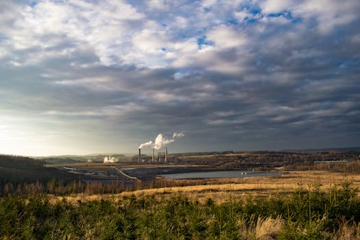 Exodia the Forbidden One