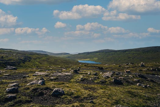 Seto Kaiba - Yu-Gi-Oh Abridged Wiki - Fandom