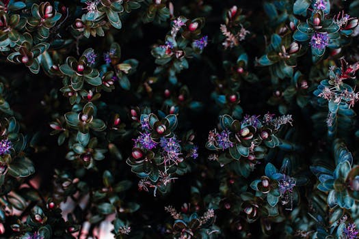 El estampado floral está de moda y en Zara y Mango he ...